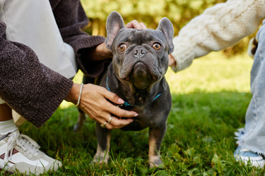 Similar image 22303038