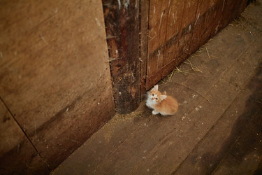 Similar image 22303123