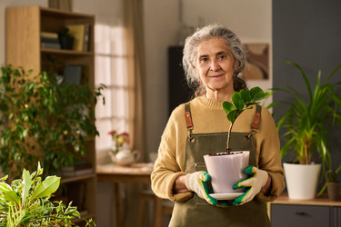 Similar image 22304522