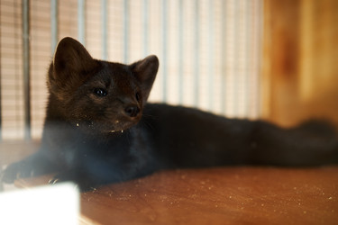 Similar image 22306425