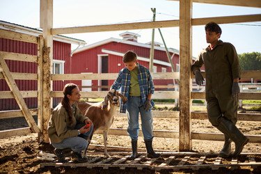 Similar image 22306495