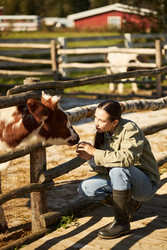 Similar image 22306510