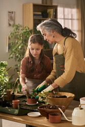 Similar image 22304580