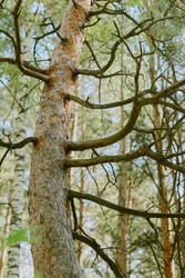 Similar image 22305275