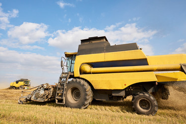 Similar image 22304604