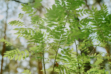 Similar image 22305291