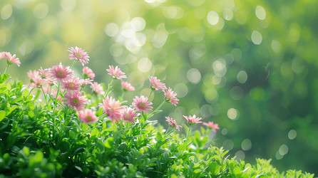 Similar image 22300240