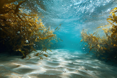 Similar image 22307524