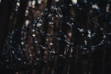 Similar image 22300287