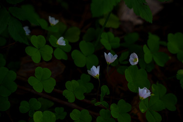 Similar image 22314548