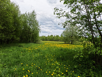 Similar image 22314550