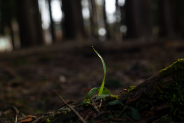 Similar image 22314553