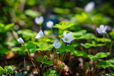 Similar image 22300295