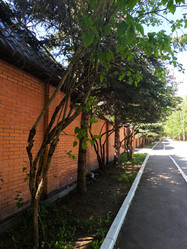 Similar image 22315554