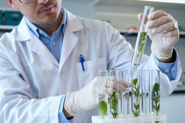 Similar image 22307093