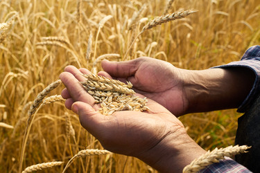 Similar image 22304620