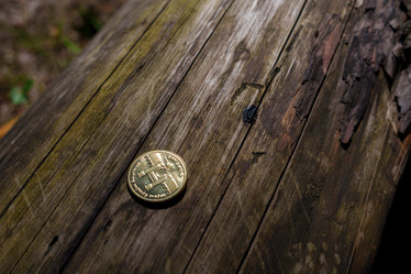 Similar image 22314588