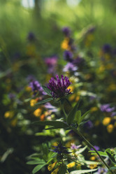 Similar image 22314589