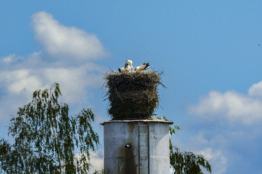 Similar image 22314592