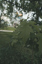 Similar image 22314599