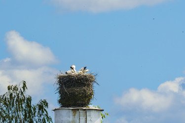 Similar image 22314604