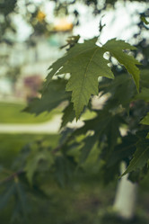 Similar image 22315537