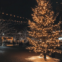 Similar image 22300342