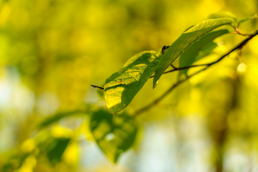 Similar image 22314619