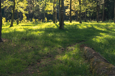 Similar image 22314622