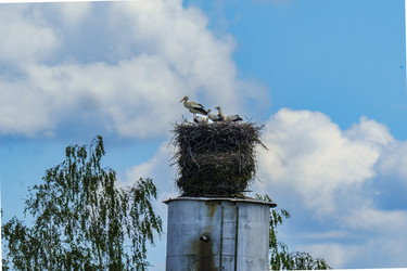 Similar image 22326427