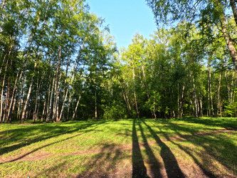 Similar image 22300346