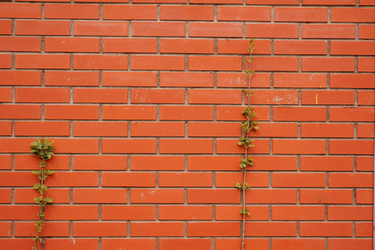 Similar image 22315539