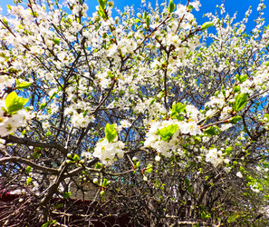 Similar image 22314632