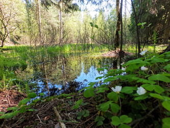 Similar image 22314633