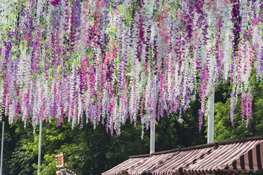 Similar image 22314637