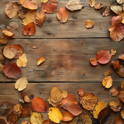 Similar image 22314644