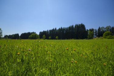 Similar image 22300375