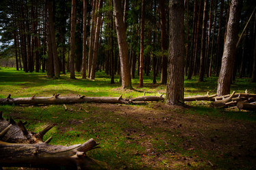 Similar image 22314690