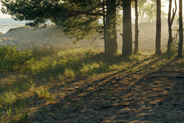 Similar image 22300424