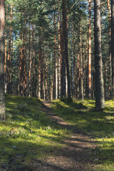 Similar image 22314773