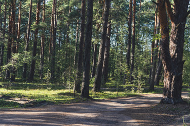 Similar image 22315565