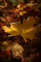 Similar image 22300432