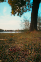 Similar image 22300434