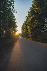 Similar image 22300435