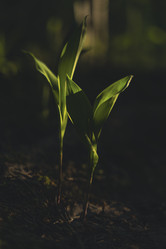 Similar image 22314727