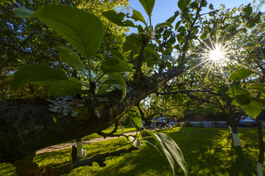 Similar image 22314730