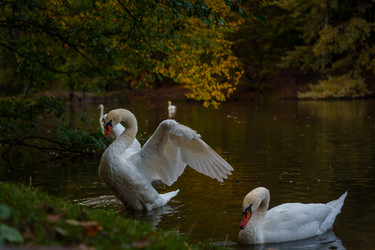 Similar image 22314775