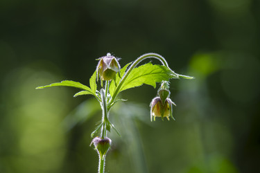 Similar image 22300442