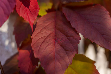 Similar image 22314746