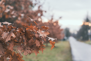 Similar image 22326459